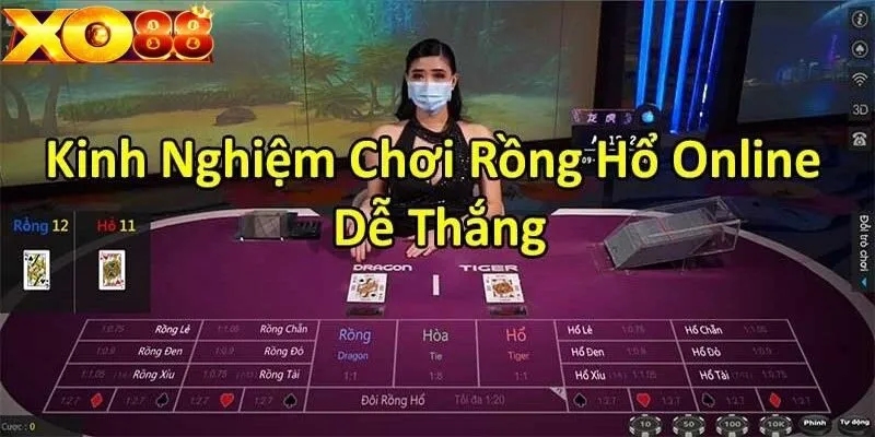 Liệt kê những chú ý quan trọng khi chơi Rồng Hổ